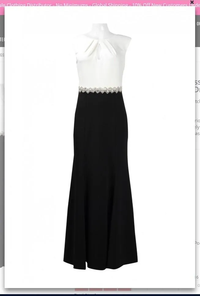Alex Evenings 160108 Boat Neck Sleeveless Zipper Back