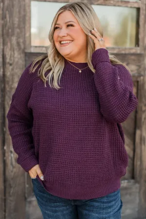 Captivating In Color Knit Sweater- Plum