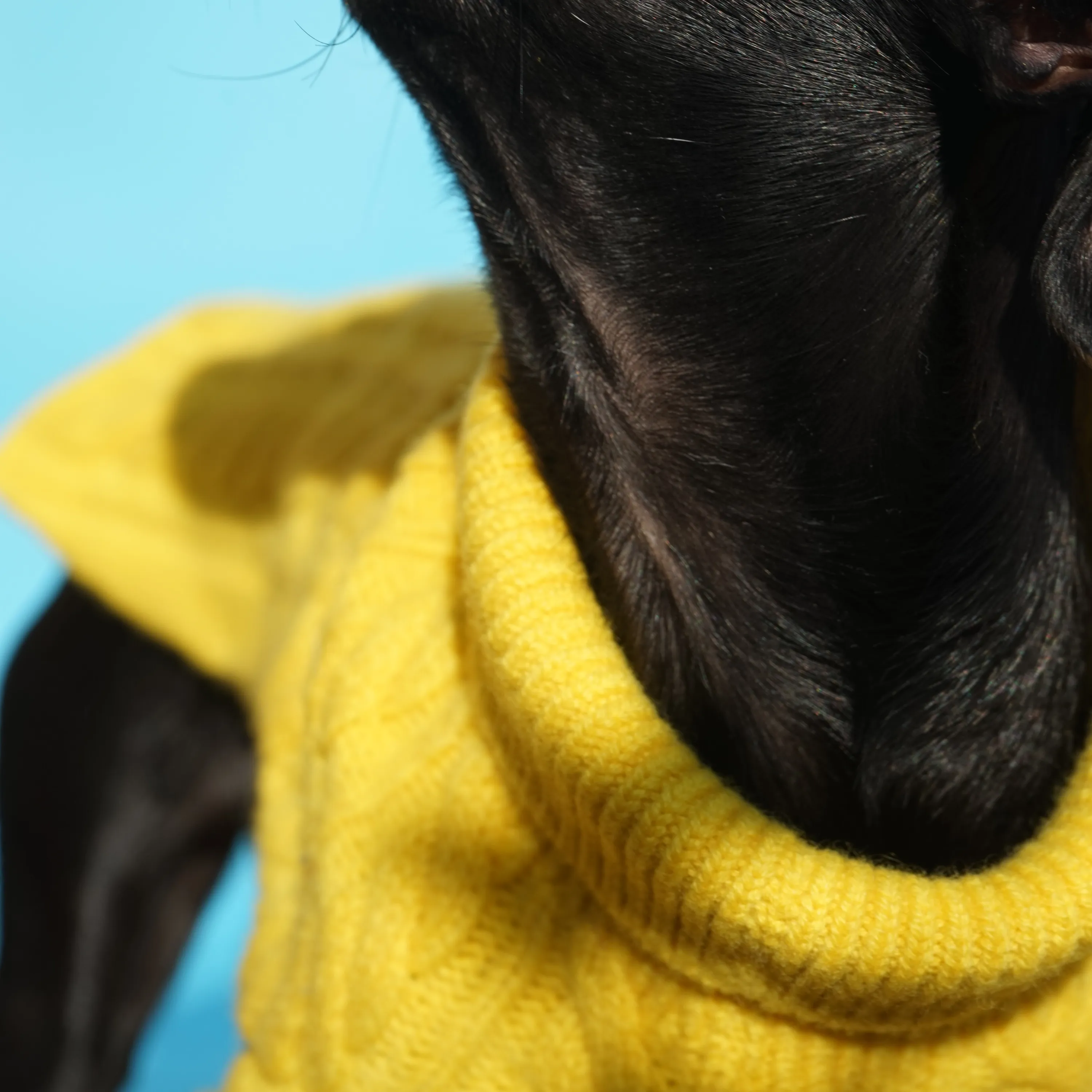 Cashmere Cable Knit Sweater