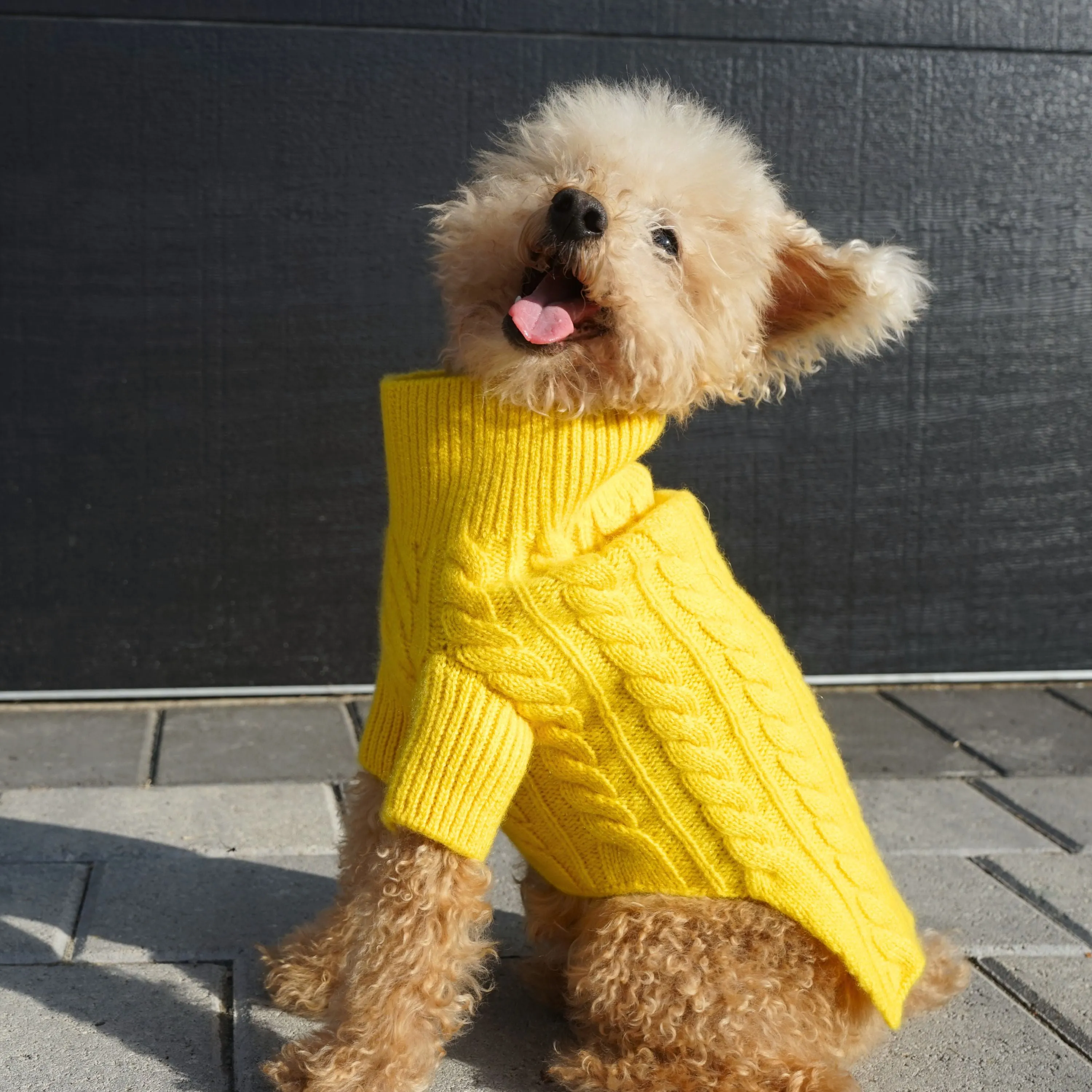 Cashmere Cable Knit Sweater