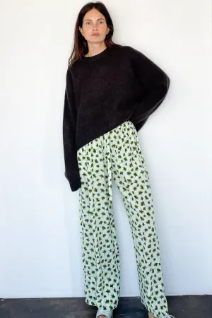 Daphne Pant