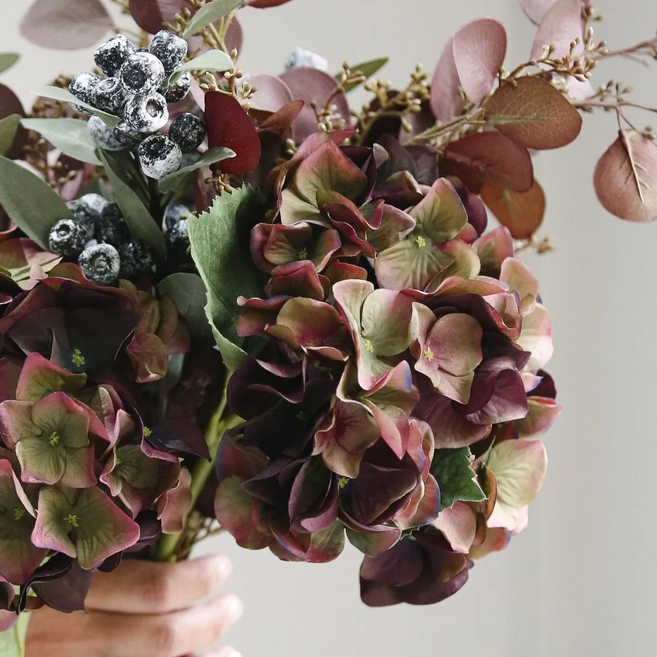 Fig & Olive Hydrangea