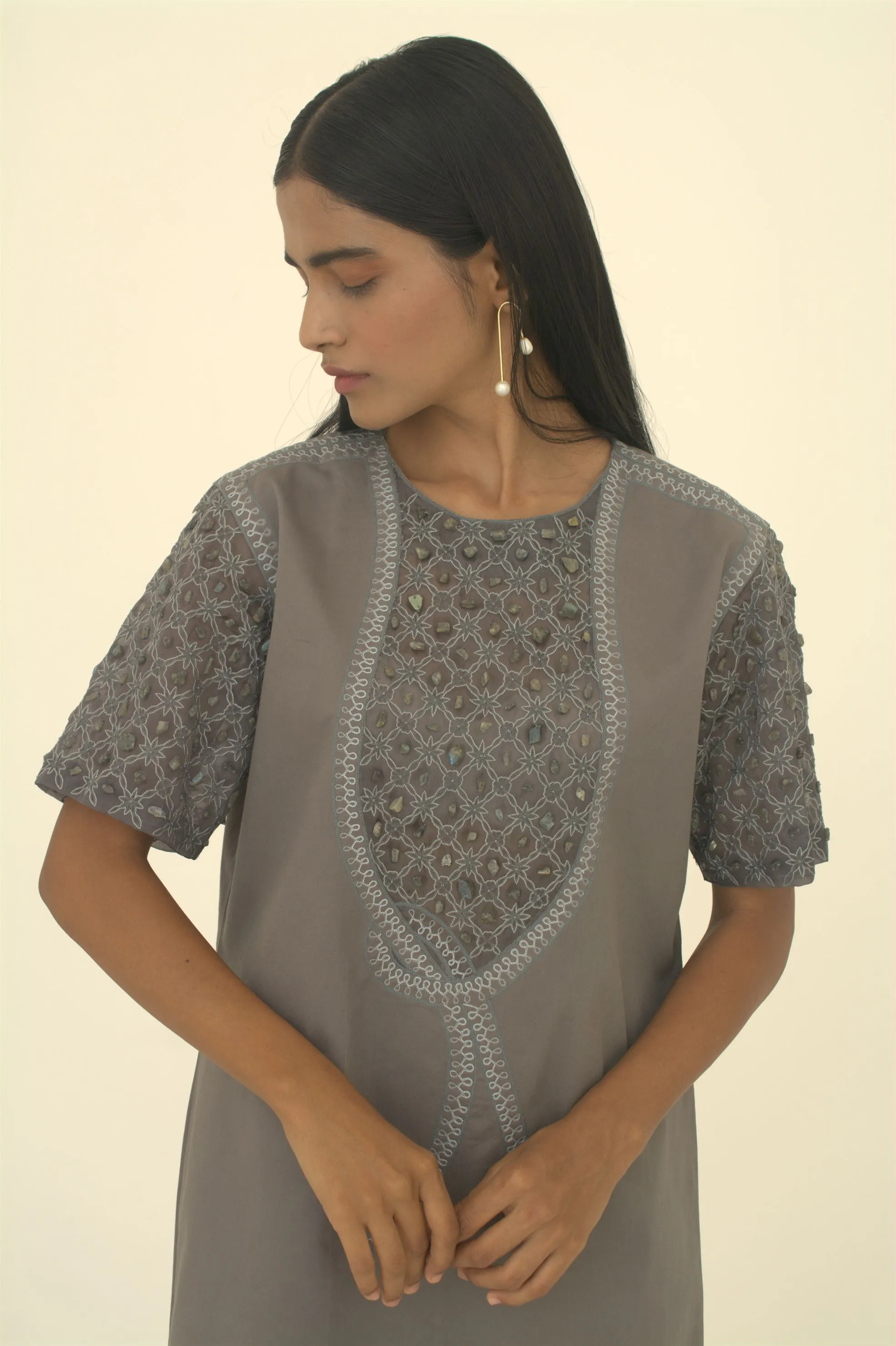New Season Summer to Fall 2024-Dress Embellished Cotton Dolphin Grey-G/C/049-Suzanne-Fashion Edit Hemji