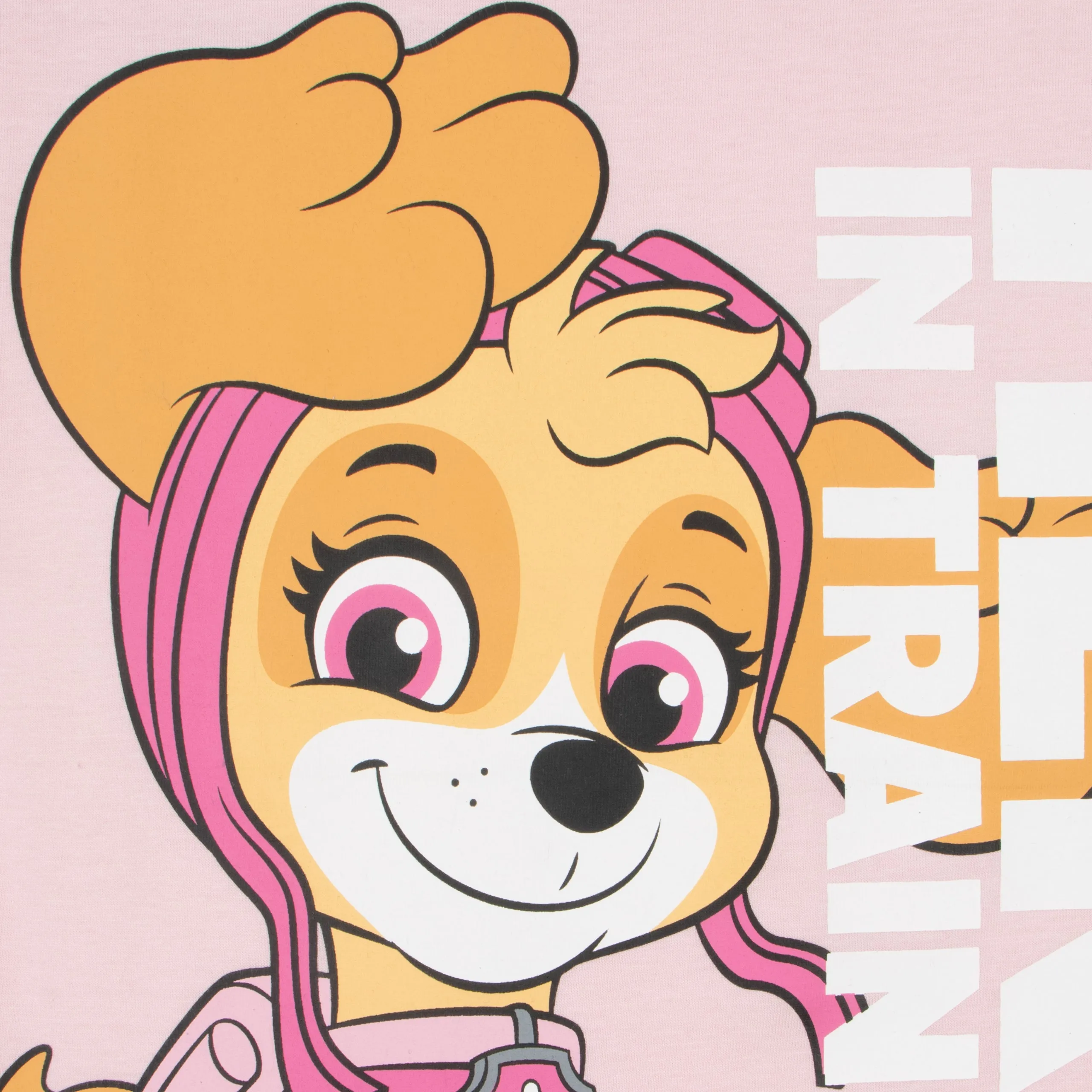 PAW Patrol Skye T-Shirt - Hero In Training