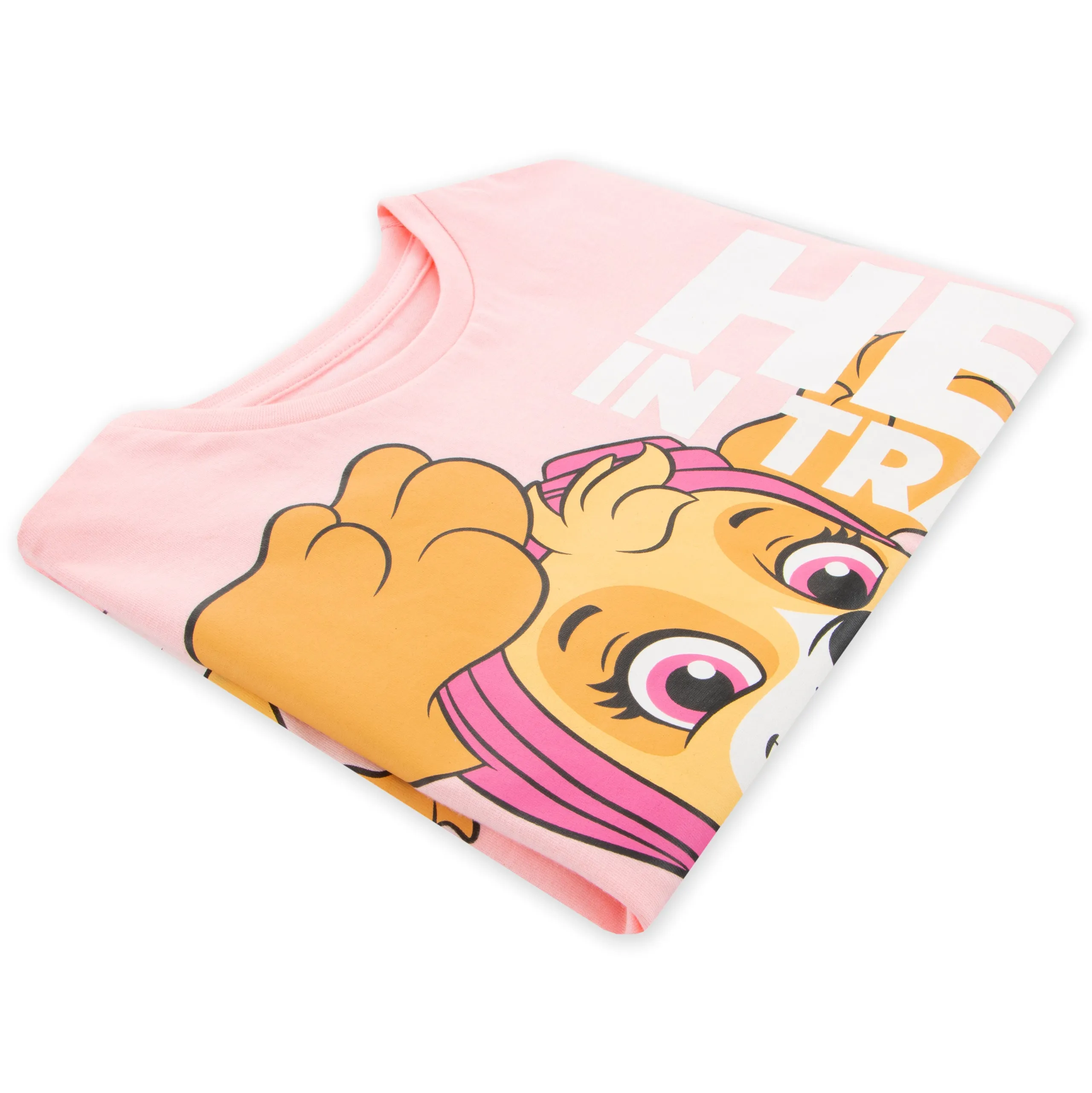 PAW Patrol Skye T-Shirt - Hero In Training