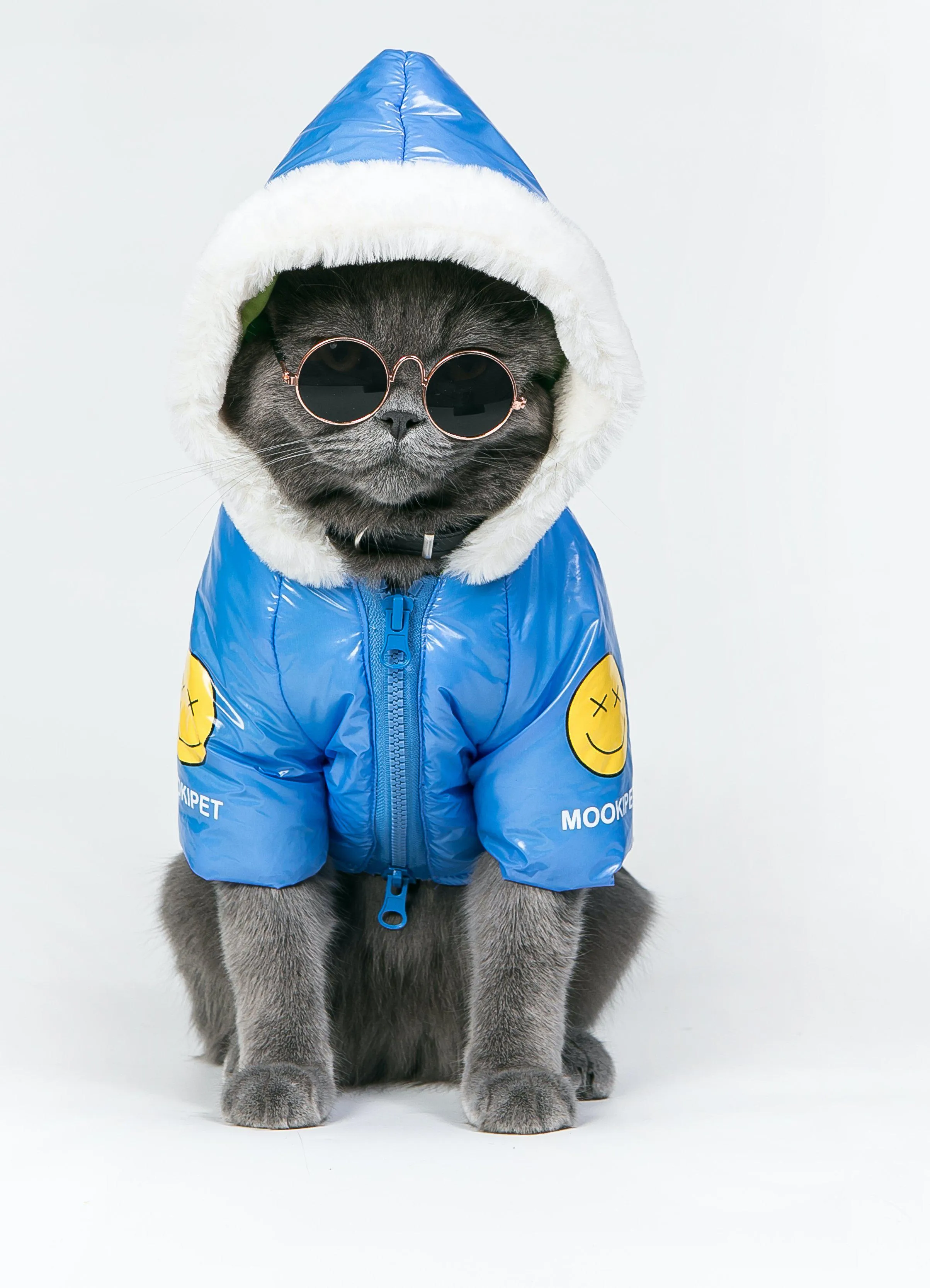 Pets Deep Blue Cotton-Padded Coat