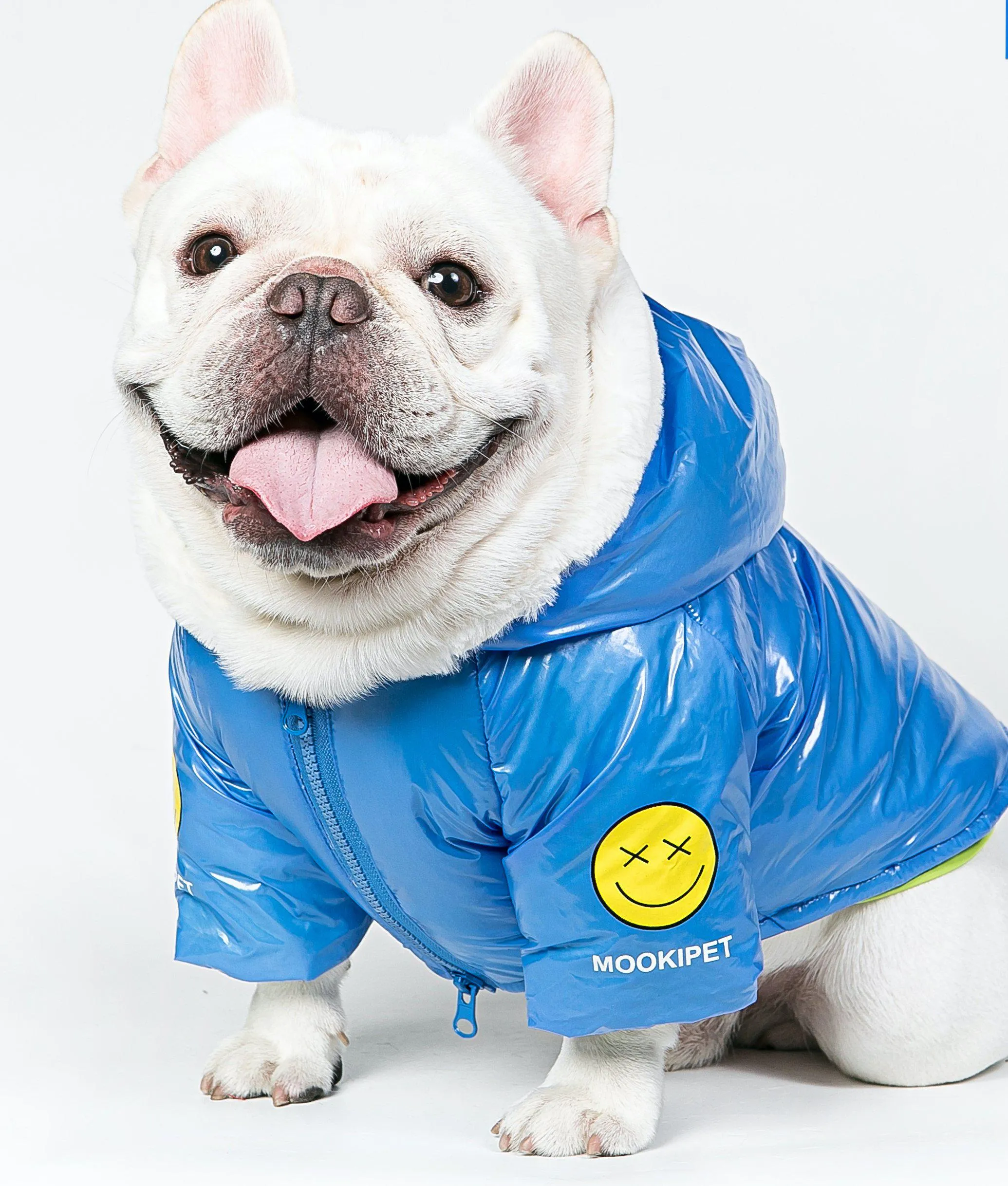 Pets Deep Blue Cotton-Padded Coat