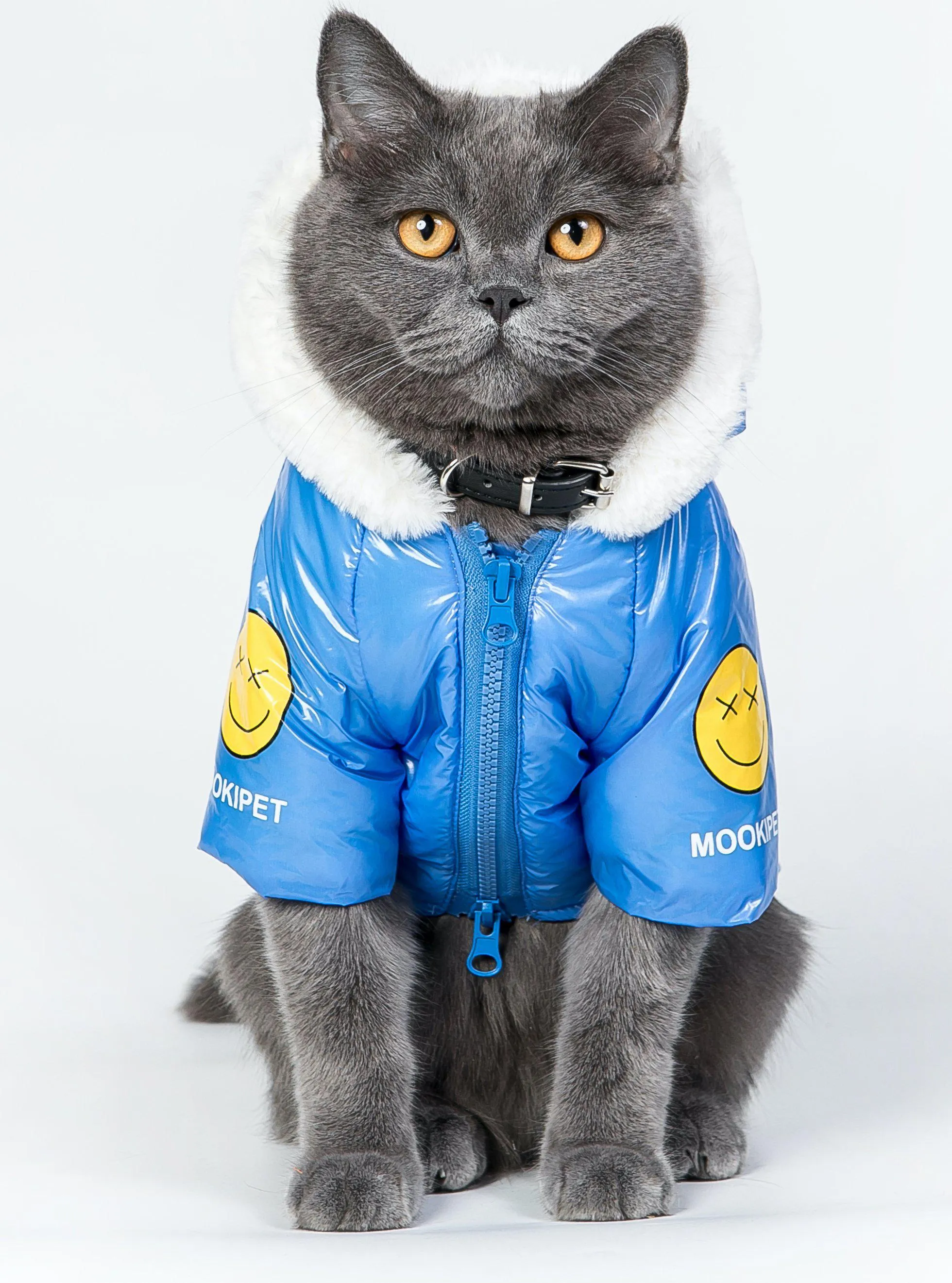 Pets Deep Blue Cotton-Padded Coat