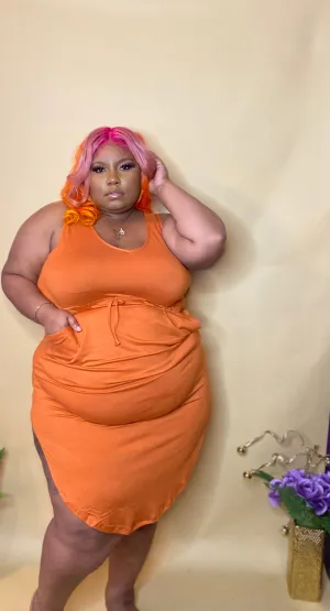 Plus Size Flavor Dress