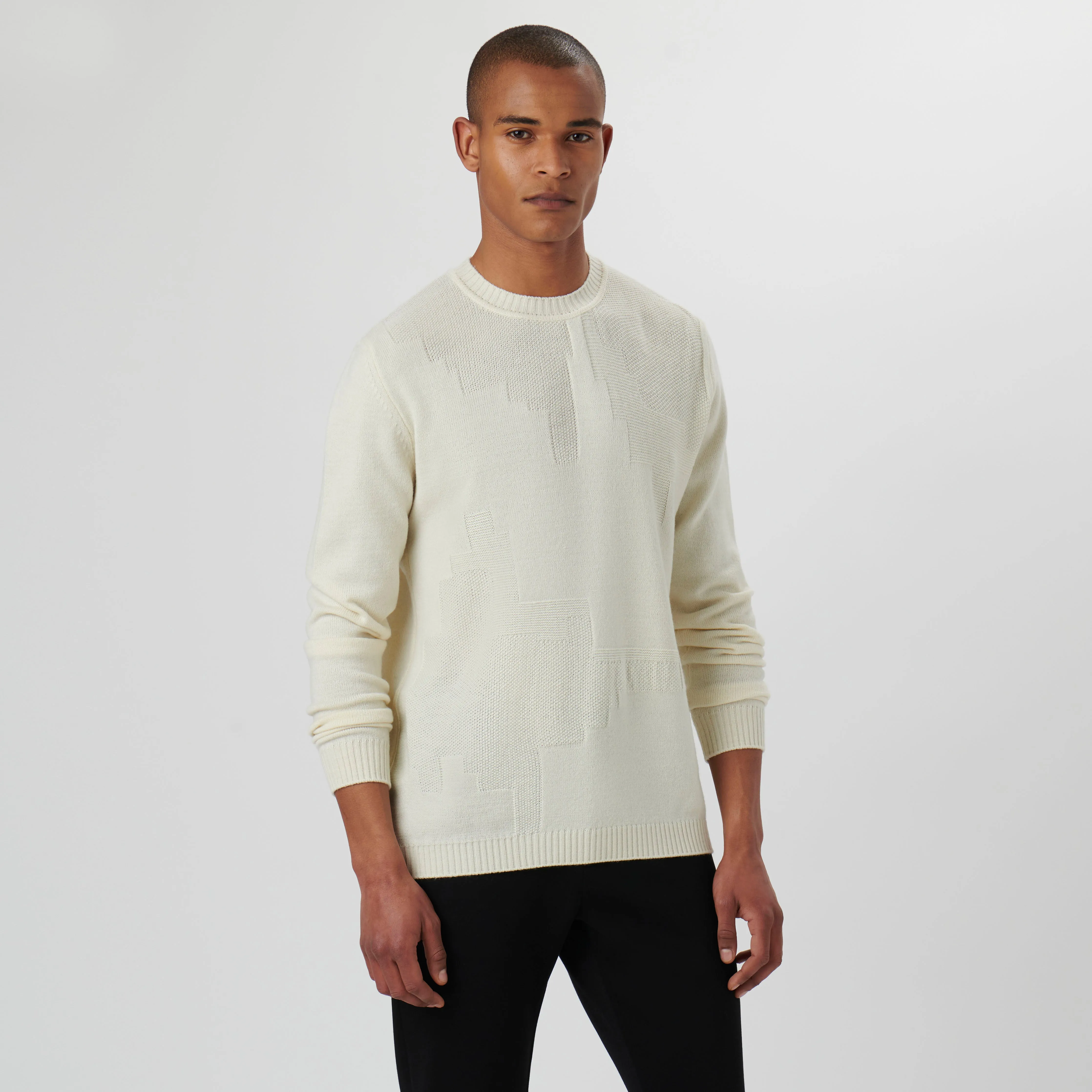 Solid Jacquard Crew Neck Sweater