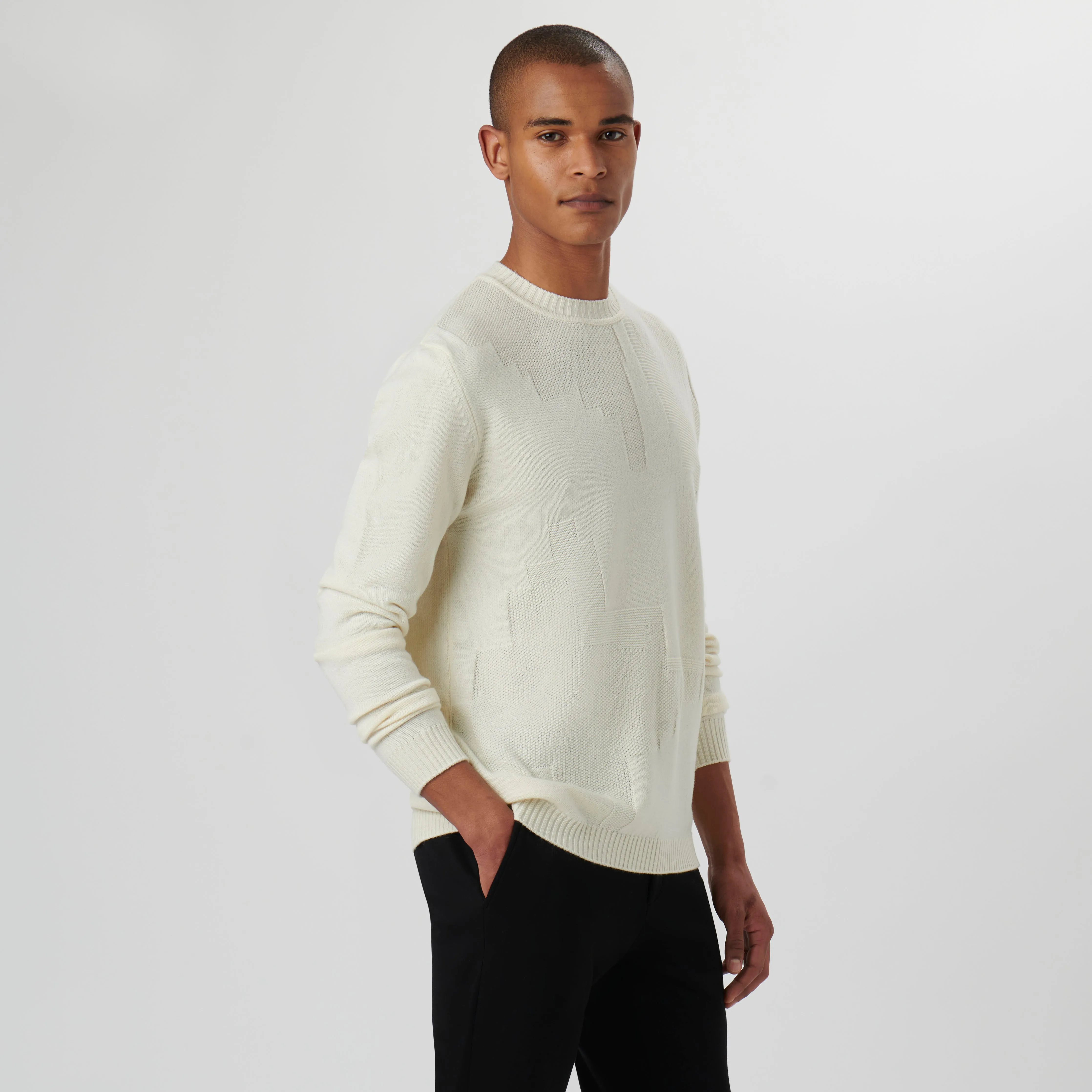 Solid Jacquard Crew Neck Sweater