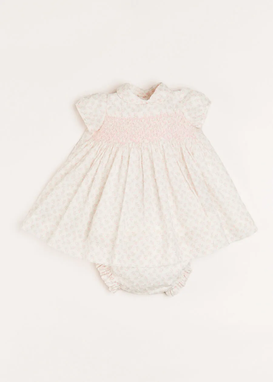 Tilly Floral Print Peter Pan Collar Short Sleeve Dress in Pink (1-6mths)
