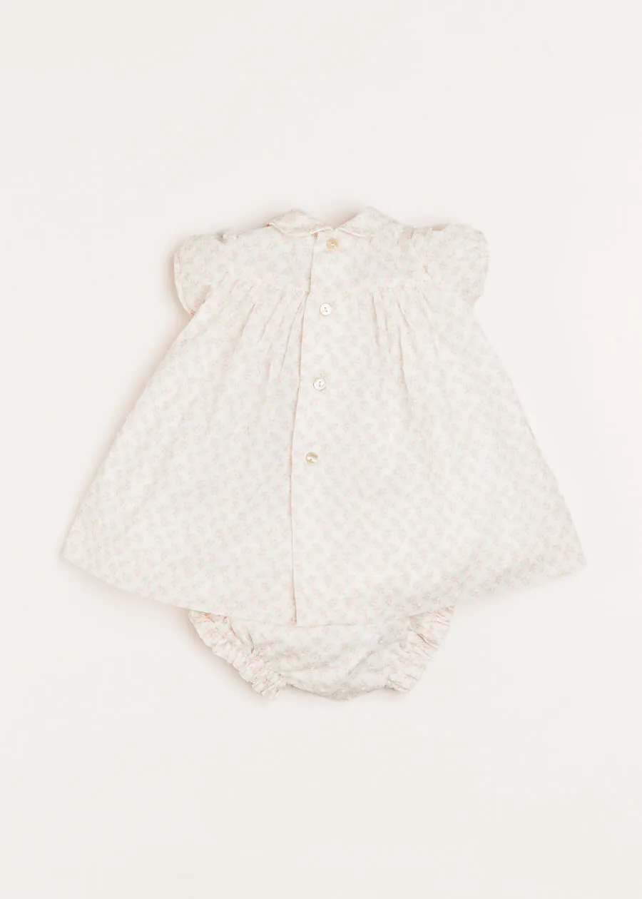 Tilly Floral Print Peter Pan Collar Short Sleeve Dress in Pink (1-6mths)